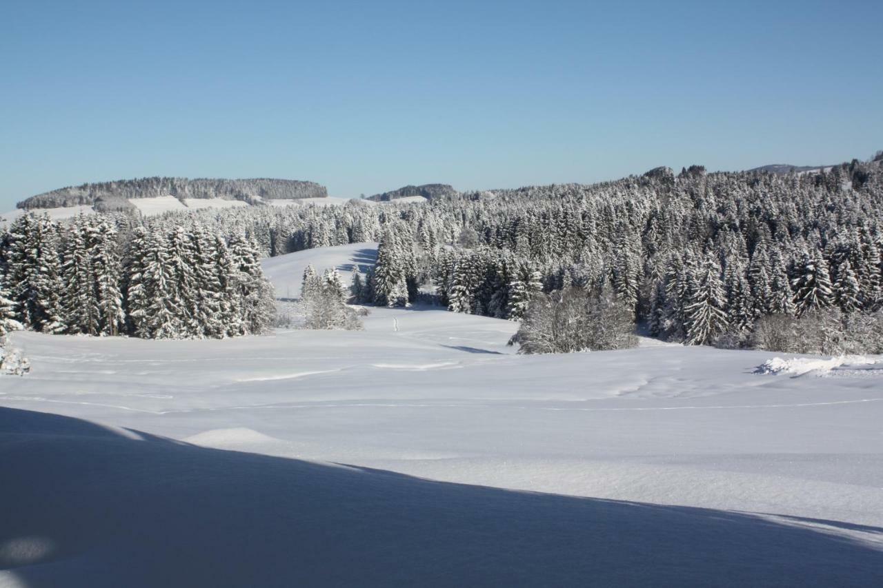 Ferienwohnung Nagelfluh Allgaeu Oberreute Extérieur photo